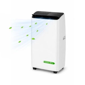 Climatiseur Portable Réversible 12000 Btu - Refroidissement & Chauffage